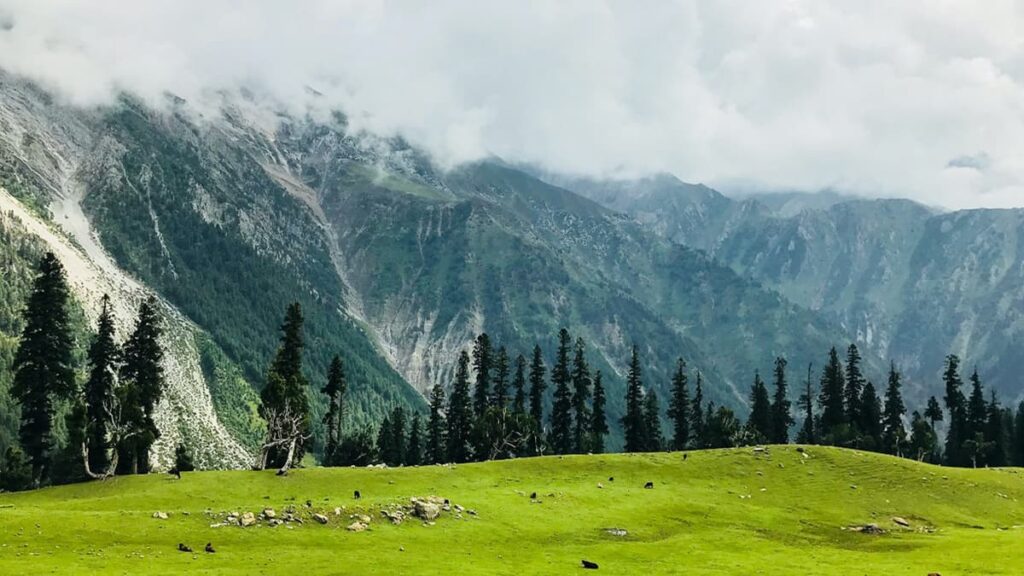 Dachigam National Park Jammu & Kashmir