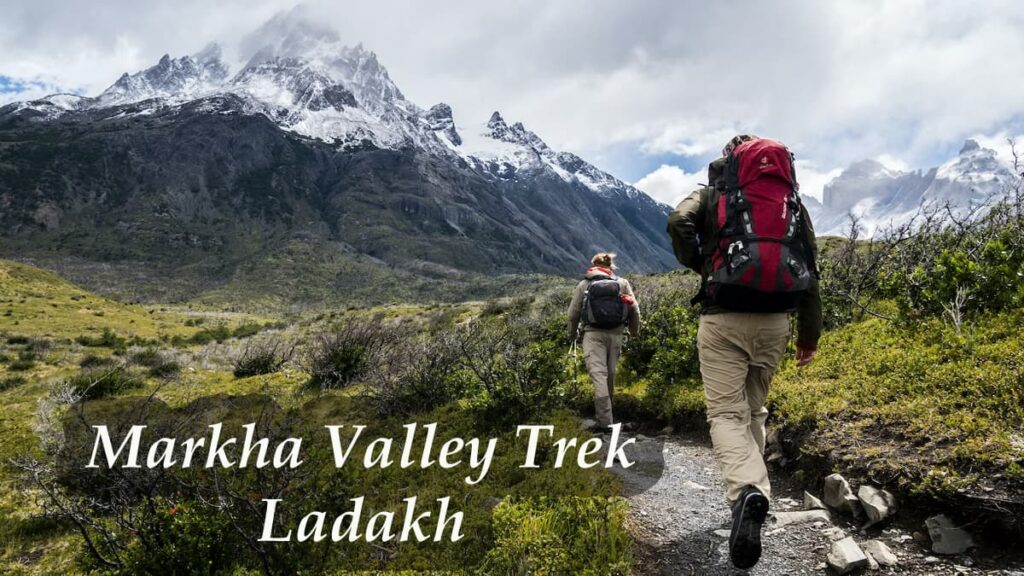 Markha Valley Trek Ladakh