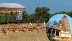 Sidhi Madhya Pradesh
