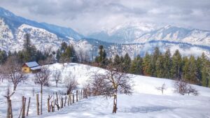 Kufri, Himachal Pradesh