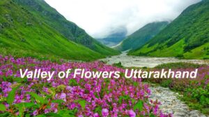 Valley of Flowers Uttarakhand