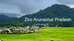 Ziro Arunachal Pradesh