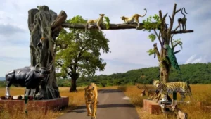 Chandoli National Park Maharashtra