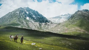 Great Himalayan National Park Himachal Pradesh