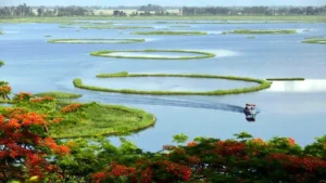 Keibul Lamjao National Park Manipur