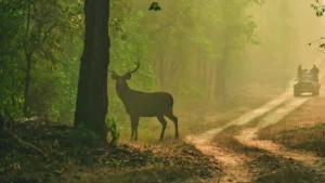 Nameri National Park Assam