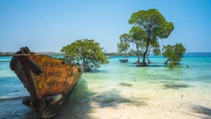 North Button Island National Park Andaman & Nicobar Islands India