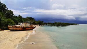 Saddle Peak National Park Andaman & Nicobar Islands