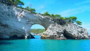 South Button Island National Park Andaman & Nicobar Islands