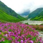 Valley of Flowers NATIONAL PARK Uttarakhand