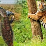 Dudhwa National Park Uttar Pradesh