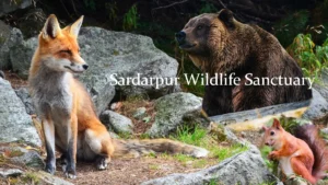 Sardarpur Wildlife Sanctuary