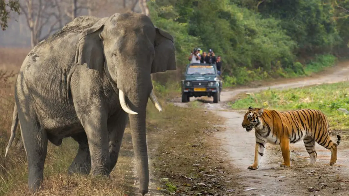 Satkosia Tiger Reserve Odisha