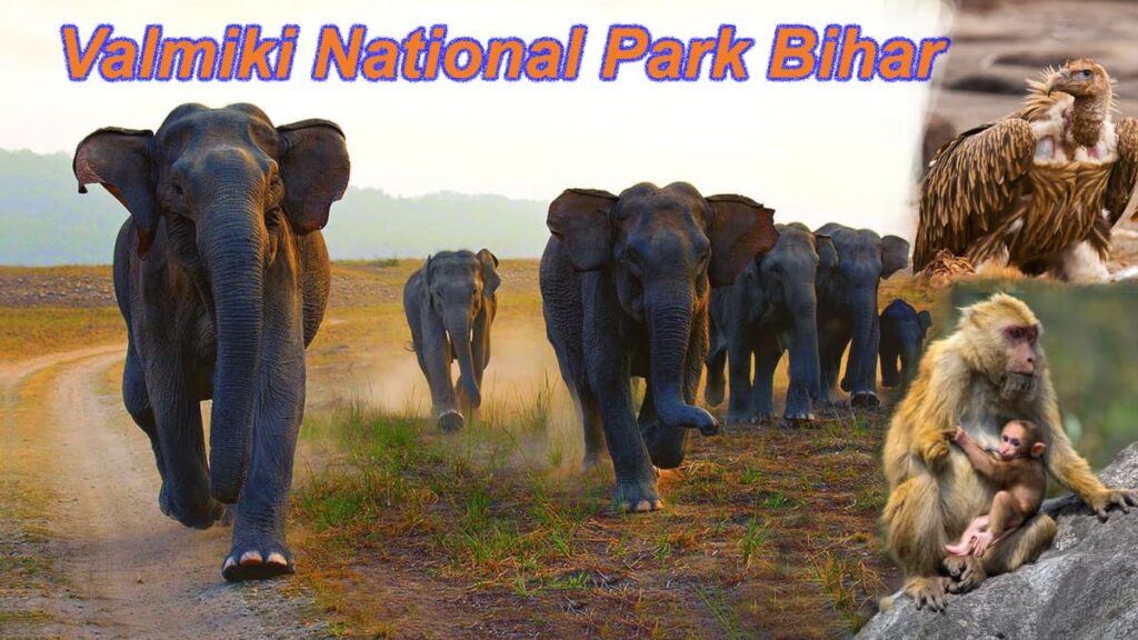 Valmiki National Park Bihar