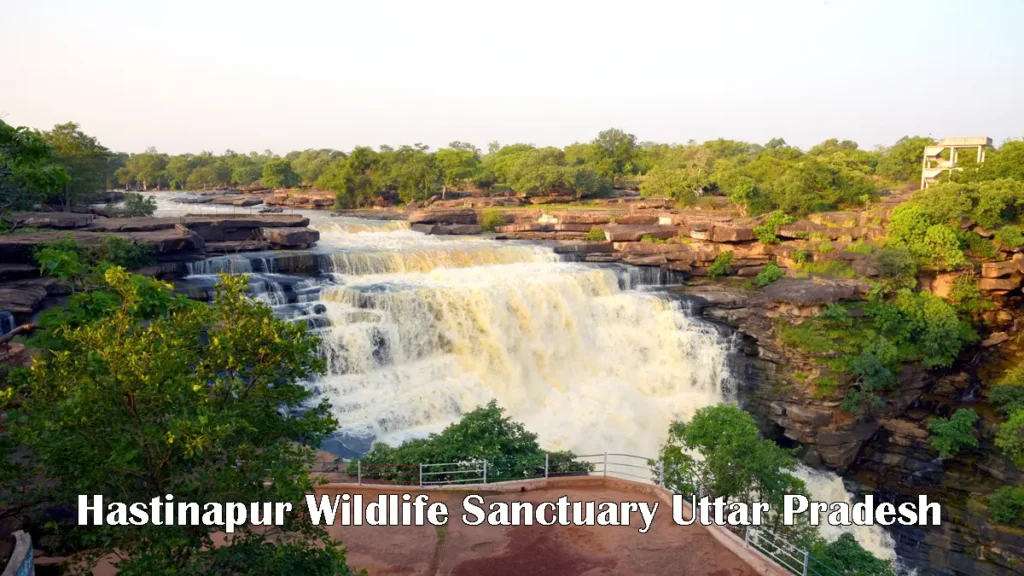Hastinapur Wildlife Sanctuary Uttar Pradesh