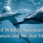 List of Wildlife Sanctuaries in Andaman And Nicobar Lslands