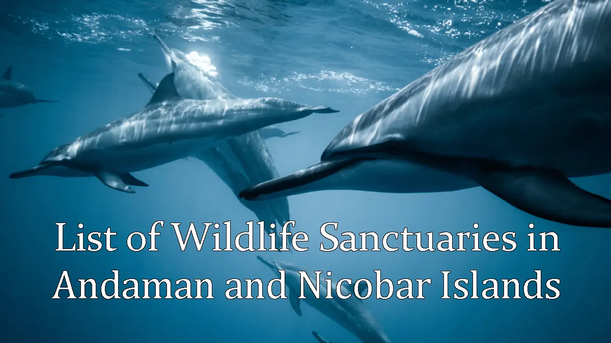 List of Wildlife Sanctuaries in Andaman And Nicobar Lslands