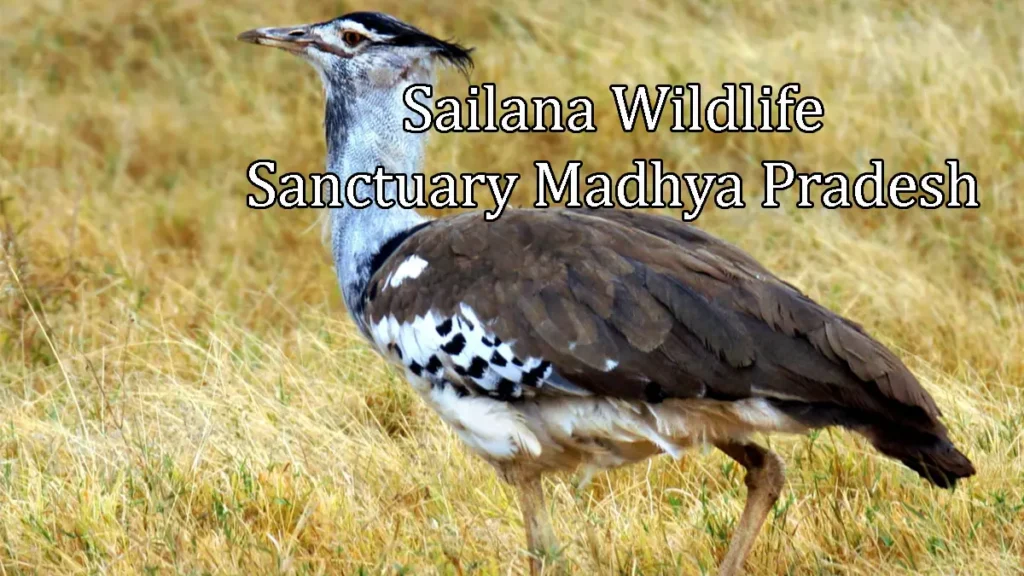 Sailana Wildlife Sanctuary Madhya Pradesh