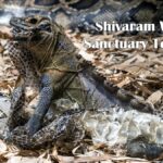 Shivaram Wildlife Sanctuary Telangana