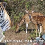 list of national parks of india
