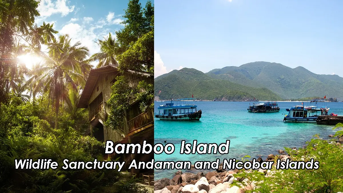 Bamboo Island Wildlife Sanctuary Andaman and Nicobar Islands
