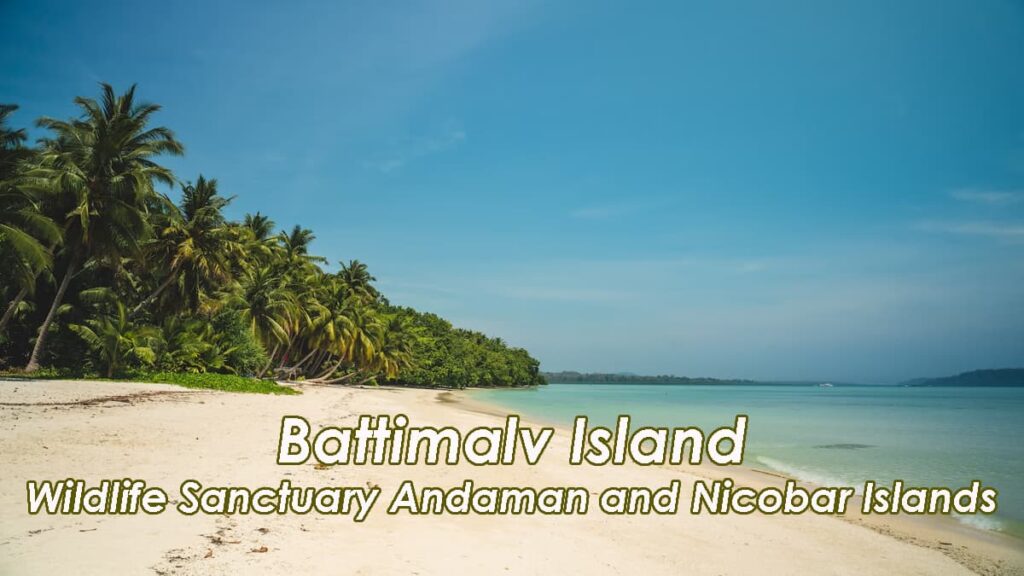 Battimalv Island Wildlife Sanctuary Andaman and Nicobar Islands