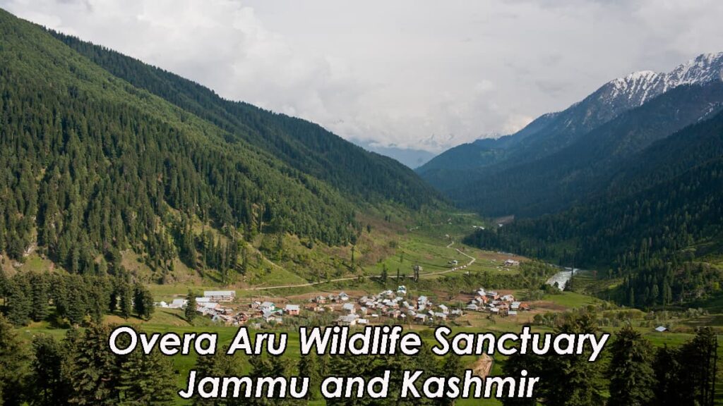 Overa Aru Wildlife Sanctuary Jammu and Kashmir