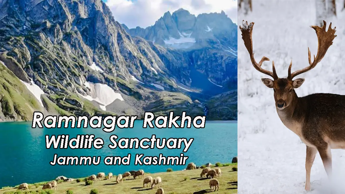 Ramnagar Rakha Wildlife Sanctuary Jammu and Kashmir