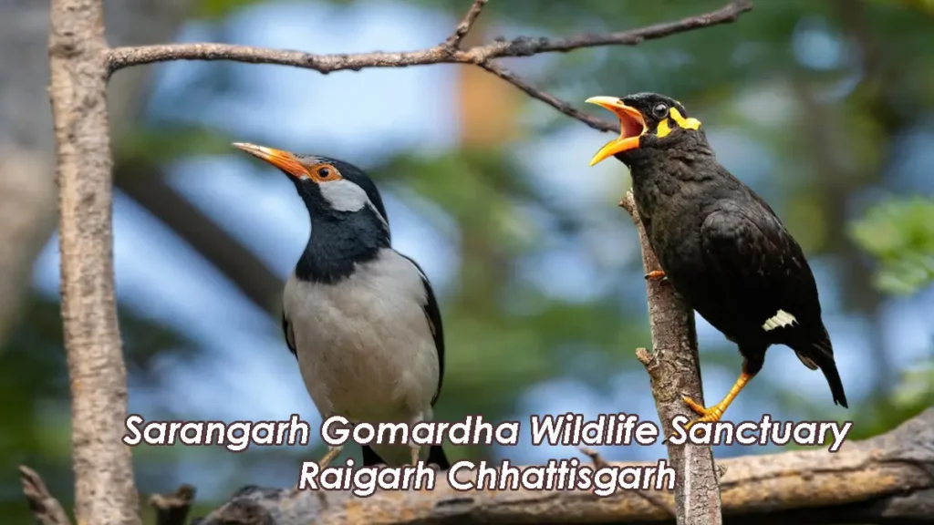 Sarangarh Gomardha Wildlife Sanctuary Raigarh Chhattisgarh