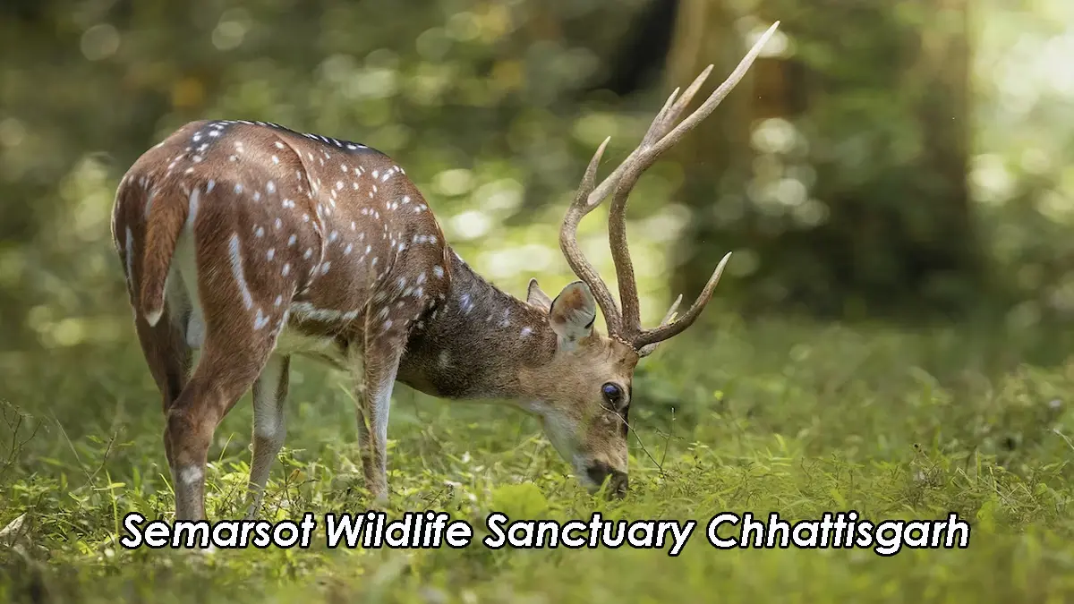 Semarsot Wildlife Sanctuary Chhattisgarh