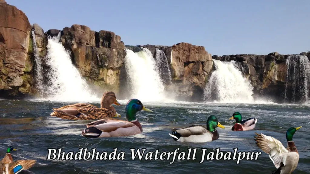 Bhadbhada Waterfall Jabalpur