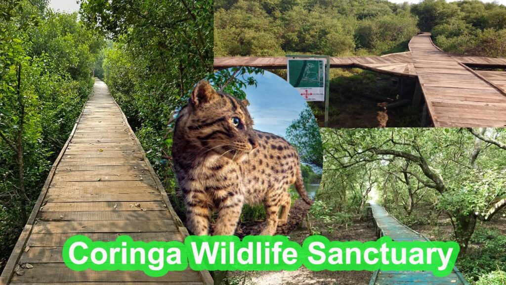 Coringa Wildlife Sanctuary