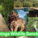 Coringa Wildlife Sanctuary