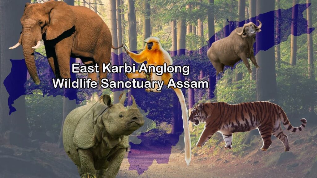 East Karbi Anglong Wildlife Sanctuary Assam