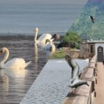 Nagi Dam Wildlife Sanctuary Bihar