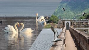 Nagi Dam Wildlife Sanctuary Bihar