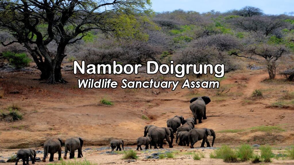 Nambor Doigrung Wildlife Sanctuary Assam