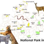 National Park in Madhya Pradesh