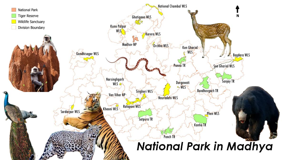 National Park in Madhya Pradesh