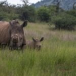 Pani Dihing Wildlife Sanctuary Assam