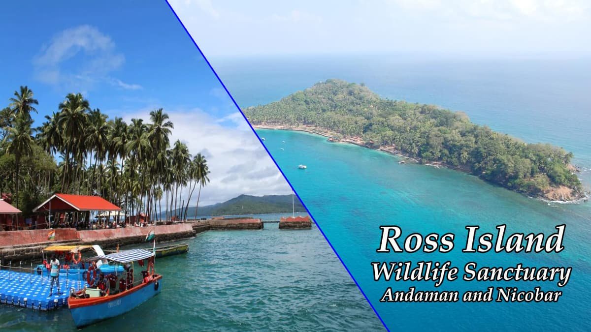 Ross Island Wildlife Sanctuary Andaman and Nicobar Islands