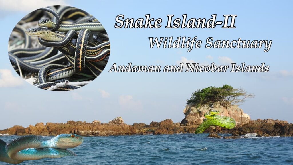 Snake Island-II