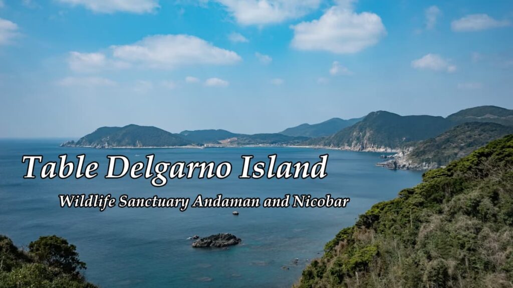 Table Delgarno Island
