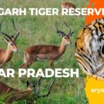 Amangarh Tiger Reserve