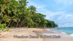 Wandoor Beach in Port Blair