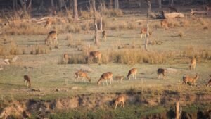 Ballabhpur Wildlife Sanctuary West Bengal