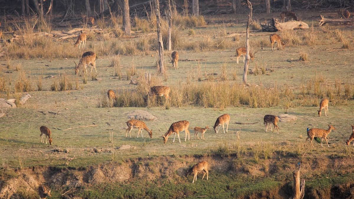 Ballabhpur Wildlife Sanctuary West Bengal