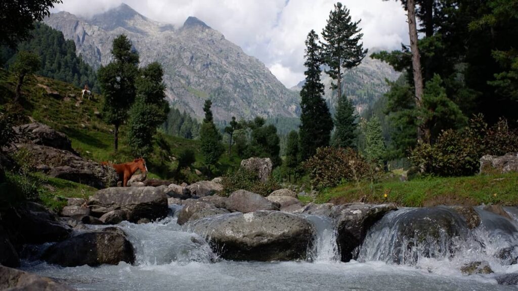 Baltal Thajwas Wildlife Sanctuary Jammu and Kashmir