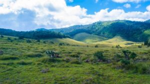 Biligiriranga Hills Karnataka