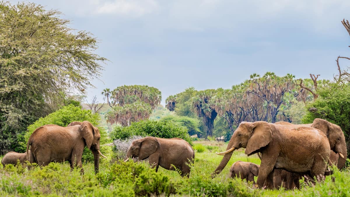 Hazaribag Wildlife Sanctuary Jharkhand